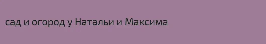 сад и огород у Натальи и Максима